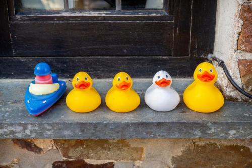Agroturismo Puddleduck Valley