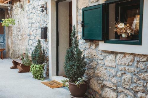 Villa Holiday House ?okotini Dvori