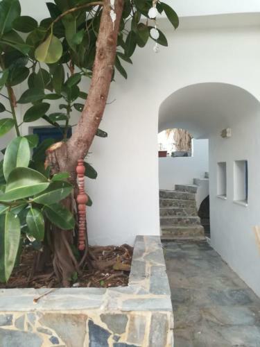 Villa Bella Vista Boutique Apartments
