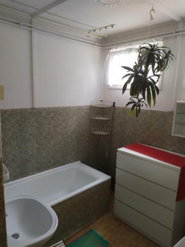 Apartamento Balaton Homestay