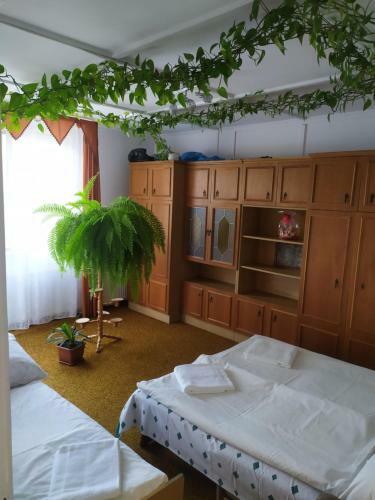 Apartamento Balaton Homestay