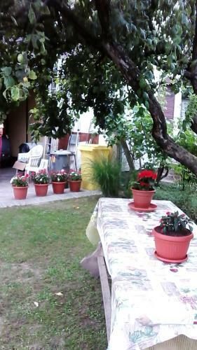 Apartamento Balaton Homestay