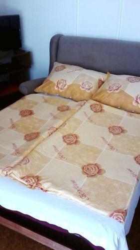 Apartamento Balaton Homestay