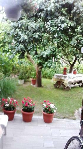 Apartamento Balaton Homestay