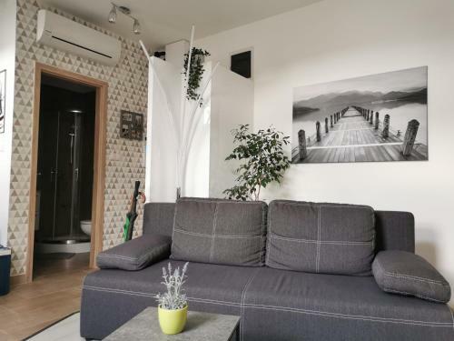 Jetty Green Apartman