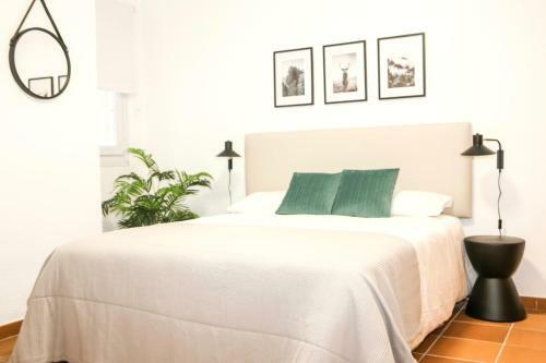 Apartamentos Surynieve Edificio Arttyfal