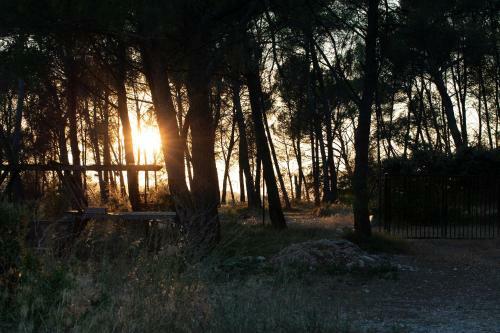 Hotel Thecampus R�sidence - Aix En Provence