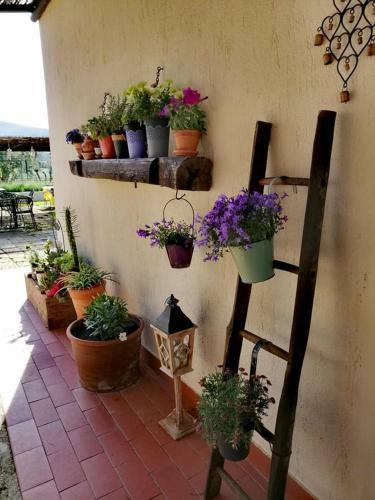 Agroturismo Podere Montecorno