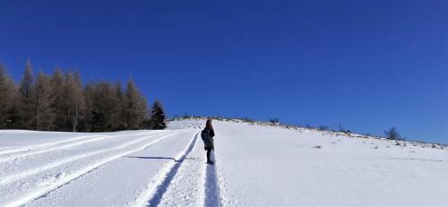 Bed & Breakfast La Gallina Nel Castello