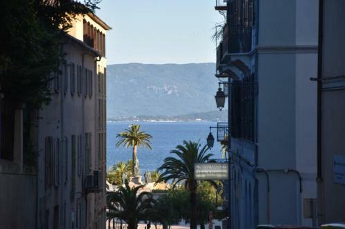 Apartamento Appartement Plein De Charme - Ajaccio Hyper Centre