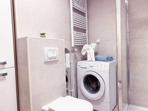 Central Bus Station Apartment