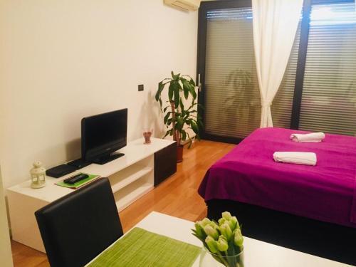 Apartments With Wifi Zagreb - 16462