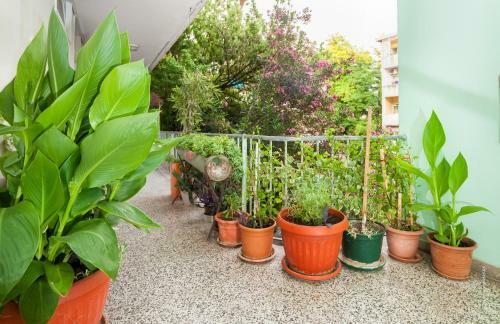 Apartamentos Luciana's Romantic Hideout