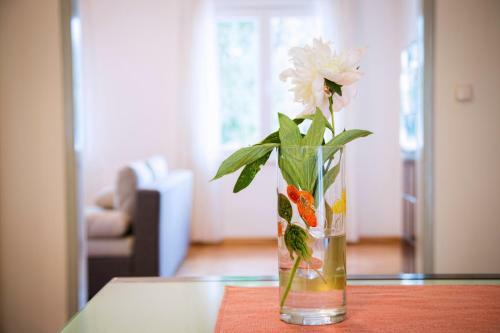 Apartamentos Old Town Seafront Zadar