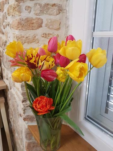 Studio Apartment B&B Zadar Sunset