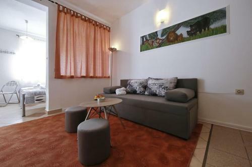 Studio Apartment Visnjik