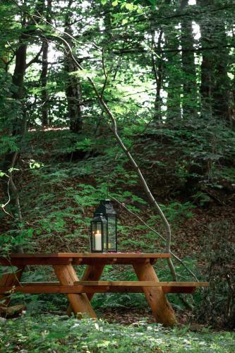 Apartamentos Gut Moorbeck
