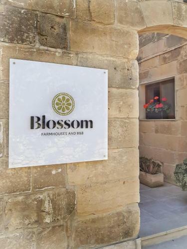 Villa Blossom Farmhouses
