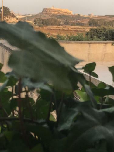 Dar Il-hena Organic B&B