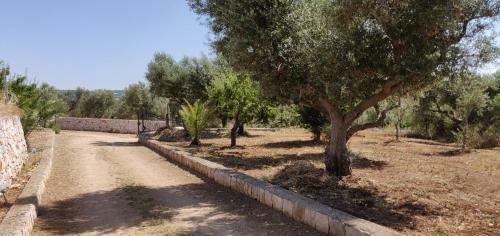 Villa Trullo La Perla Di Pietra