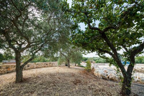 Apartamento Masseria Mezza Ruota
