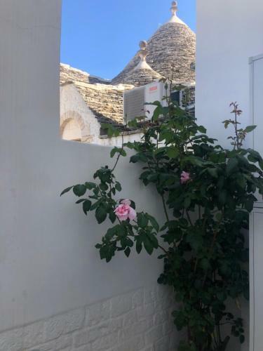 Nido Di Pietra-dimora In Centro