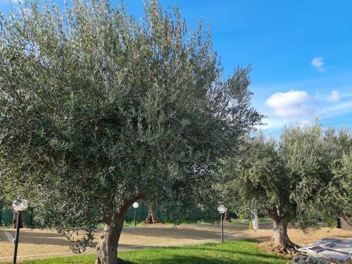 Apartamento Trullo Malvischi (super Privacy)