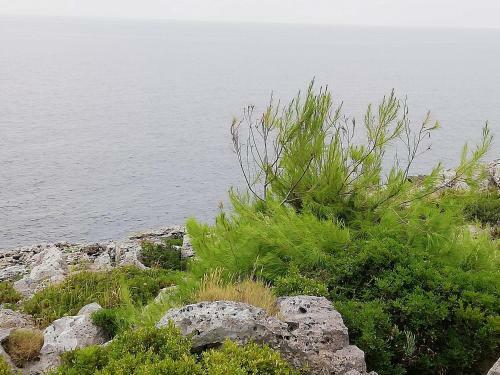 Dimora Ideale Per Coppia Vista Mare Immersa Nel Verde Salento3