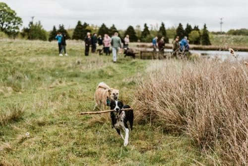 Hotel South Causey Inn