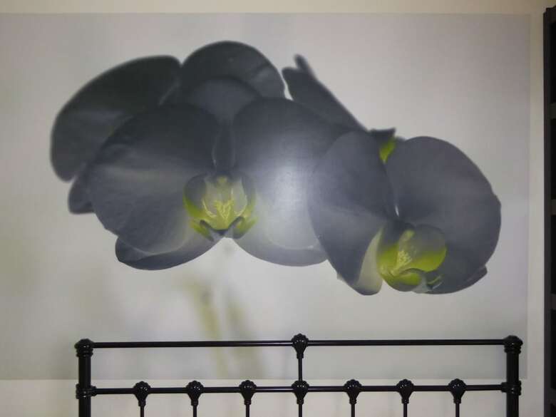 Hostal Bamboo Guesthouse