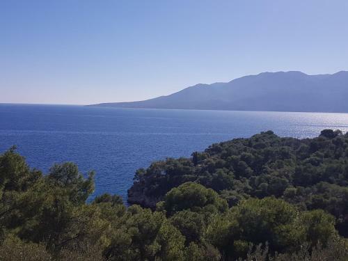 Apartamento 4 Ambelia Paradise