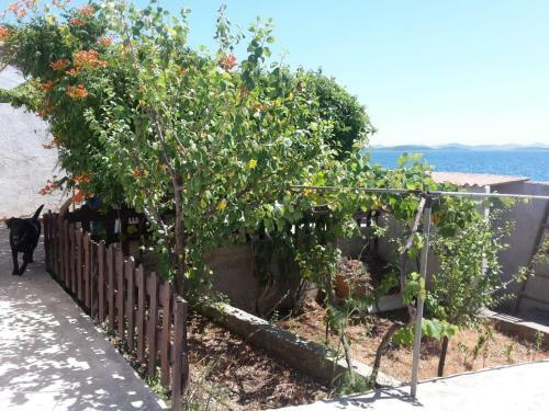 Sea House Anka