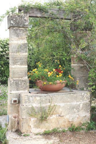 B&B Il Giardino Di Paola