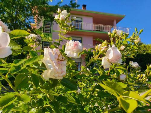 Apartamento Fiori E Frutti - Monolocale Roses