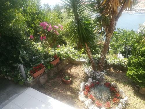 Apartmani Ivi? Paka Rab
