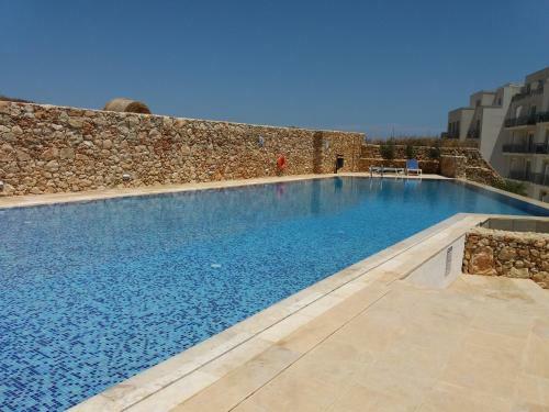 Hostal Furr, Purr & Pool