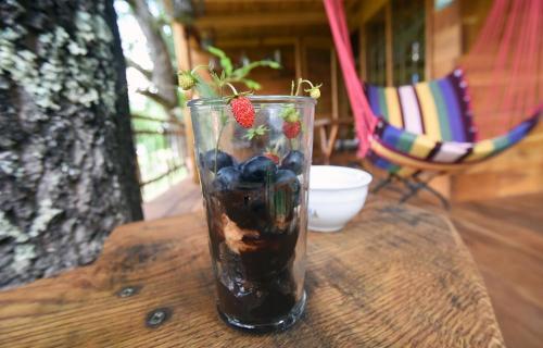 Lodge Treehouse Resnice -mre?nica