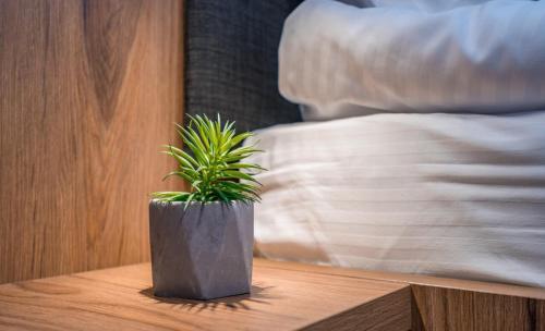 Apartamento New Gudauri Loft2 311