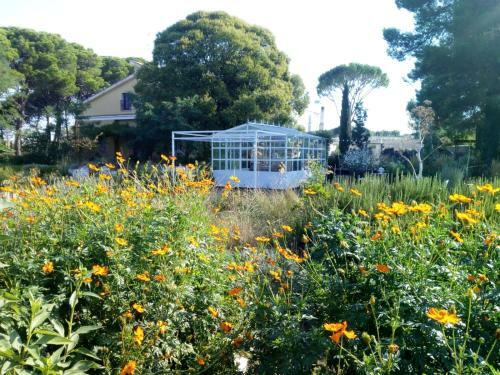 Bed & Breakfast Giardino Della Moscatella