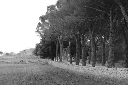 Bed & Breakfast Giardino Della Moscatella