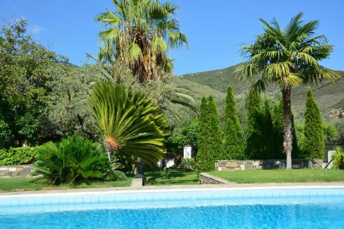Villa Olive
