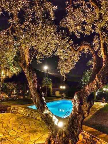 Villa Olive
