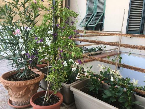 Appartamento Con Grande Terrazza Sul Mare