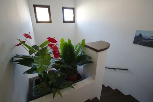 Apartamento Nahar
