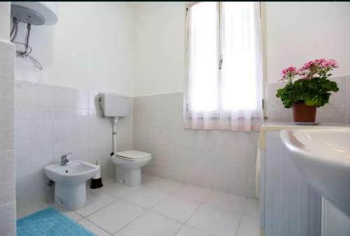 Villa Mimosa Ad Alghero A 2km Dalla Spiaggia Per 6 Persone