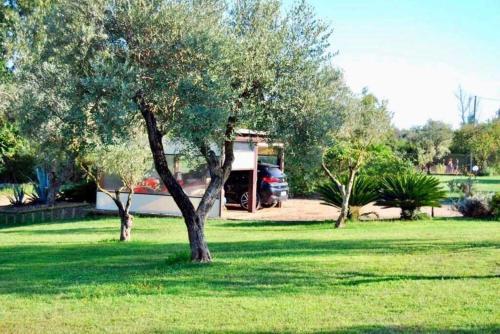 Villa Con Piscina A 2km Dal Mare Di Alghero Con AC E Wifi Per 8