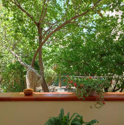 Apartamento Nonna Lia
