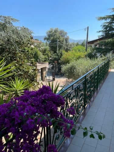 Bed & Breakfast Agriturismo Al Gallo Verde