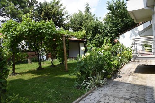 Mihail's Apartments In Ohrid - 1