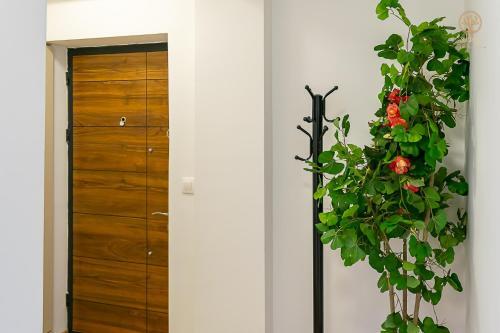 La Vita Apartment 2